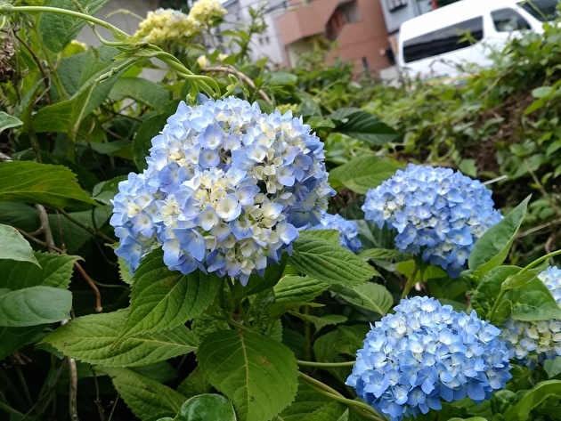 b0075239_13484866.jpg