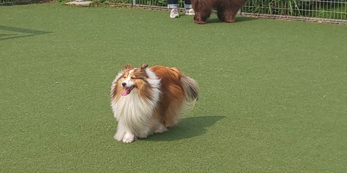 f0210439_00410984.jpg