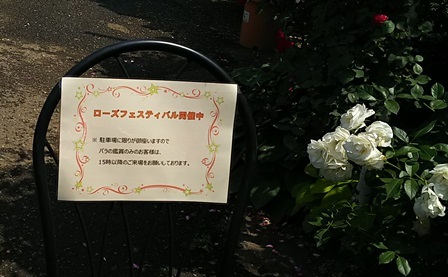 b0080342_19260369.jpg