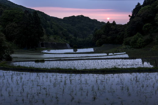 暗峠の棚田_a0287347_09194116.jpg