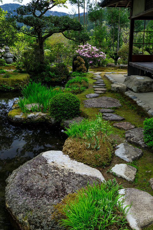 実光院の春の花たち_f0155048_23313722.jpg