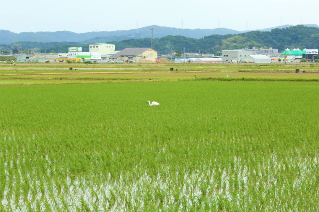 e0403850_19065736.jpg