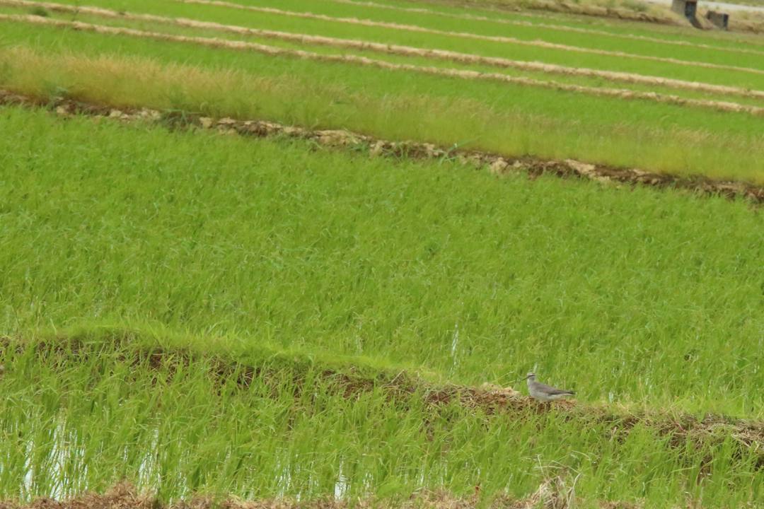 e0403850_19090746.jpg