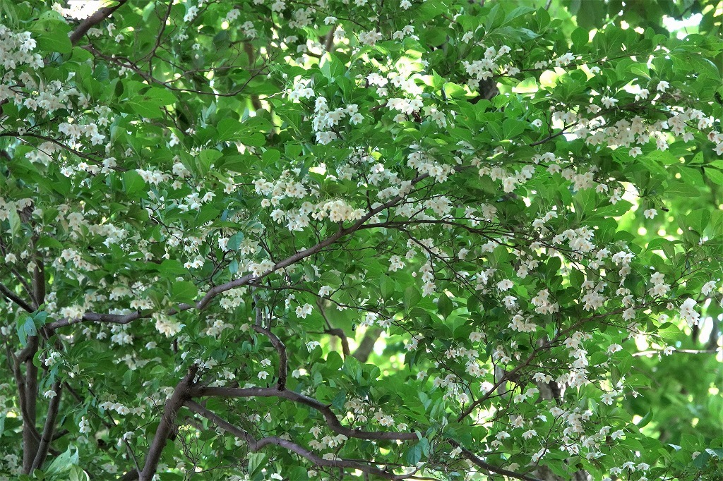 b0236251_11205013.jpg