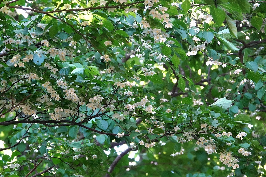 b0236251_11225577.jpg
