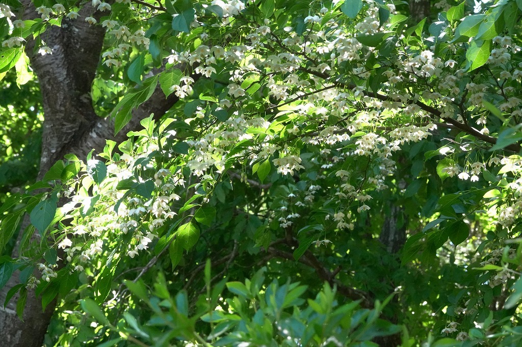 b0236251_11230006.jpg