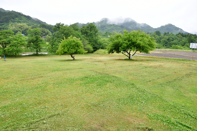 雨の休日　5/28_b0214652_14583162.jpg