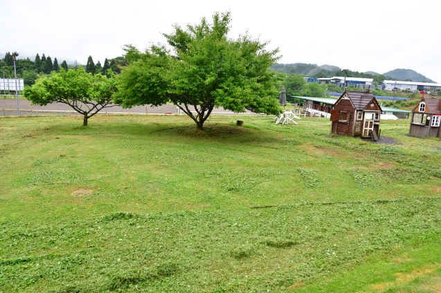 雨の休日　5/28_b0214652_14584867.jpg