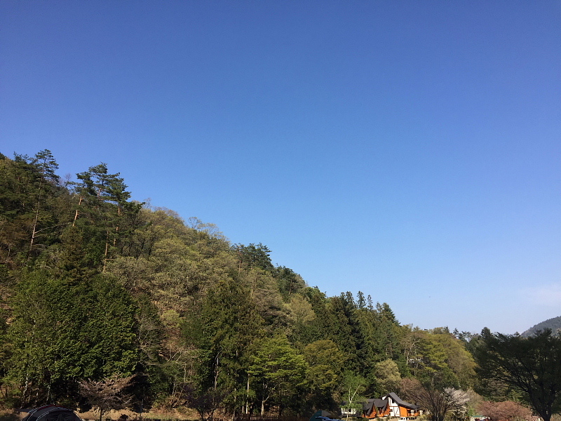 b0008655_19020581.jpg