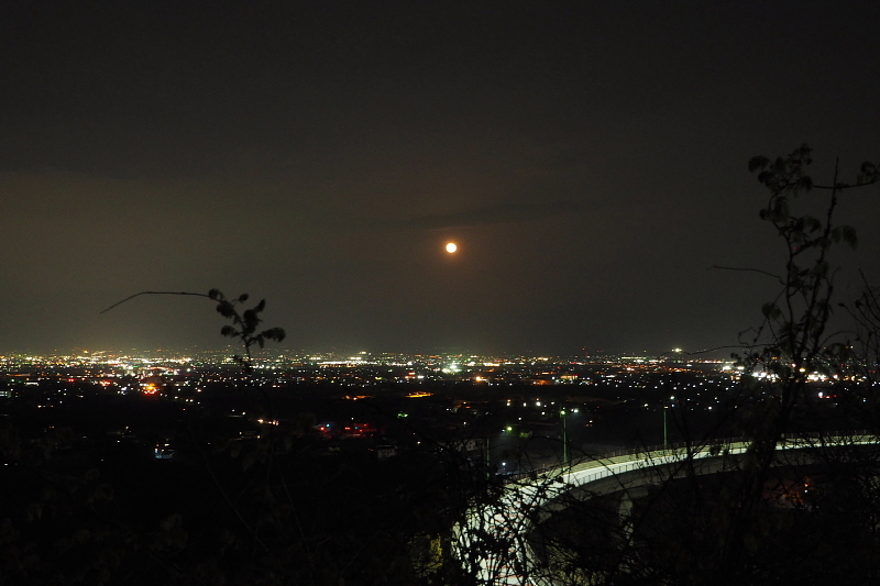 b0008655_19085170.jpg