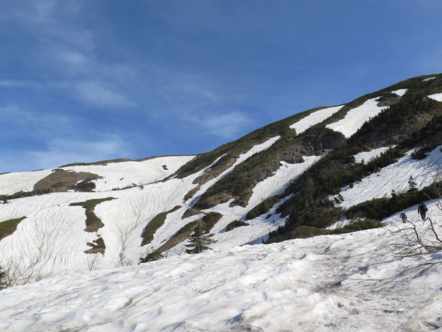 c0116856_21033951.jpg