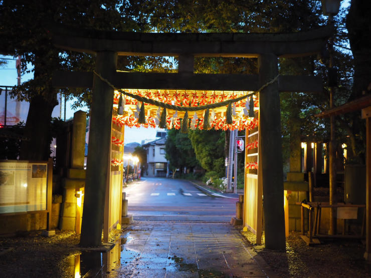 川越氷川神社_d0325358_15002023.jpg