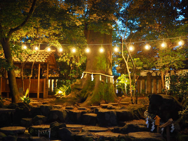 川越氷川神社_d0325358_15002386.jpg