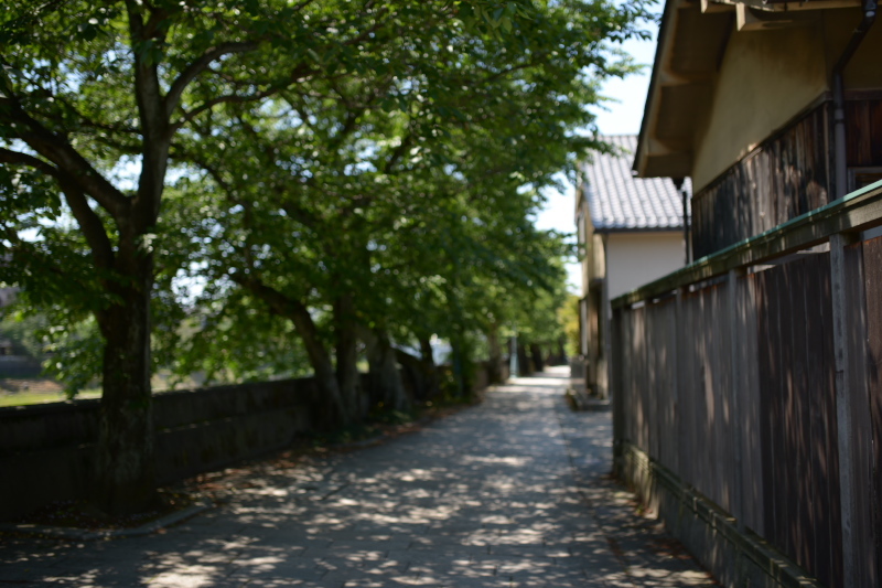 e0015174_17151168.jpg