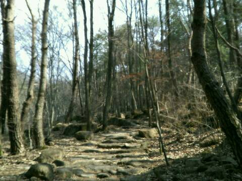 ３日目(3)華厳寺その３縁起庵 2019.3.22_d0115985_10101043.jpg