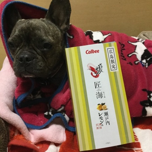 b0195100_08300010.jpeg