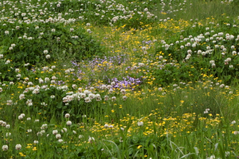 f0083400_23491707.jpg