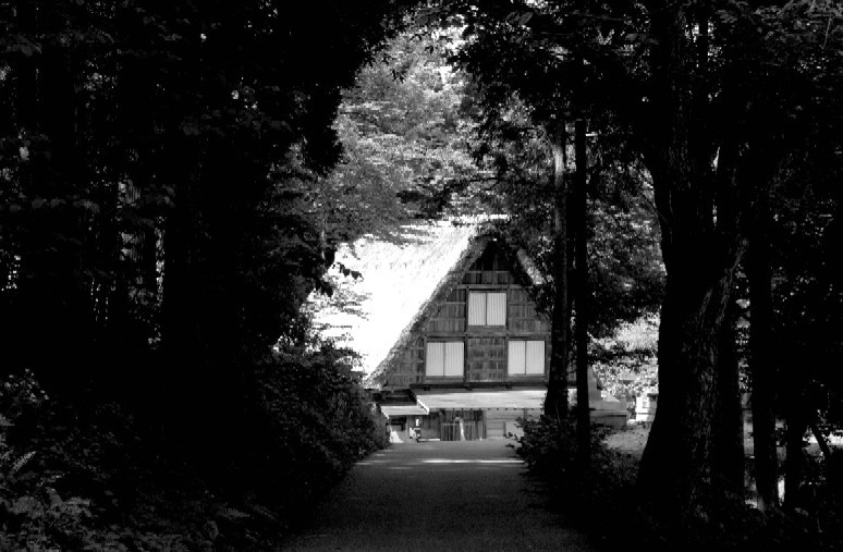 d0140806_17153458.jpg