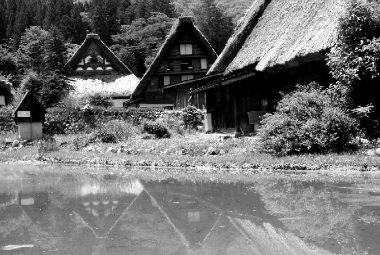 d0140806_1754145.jpg