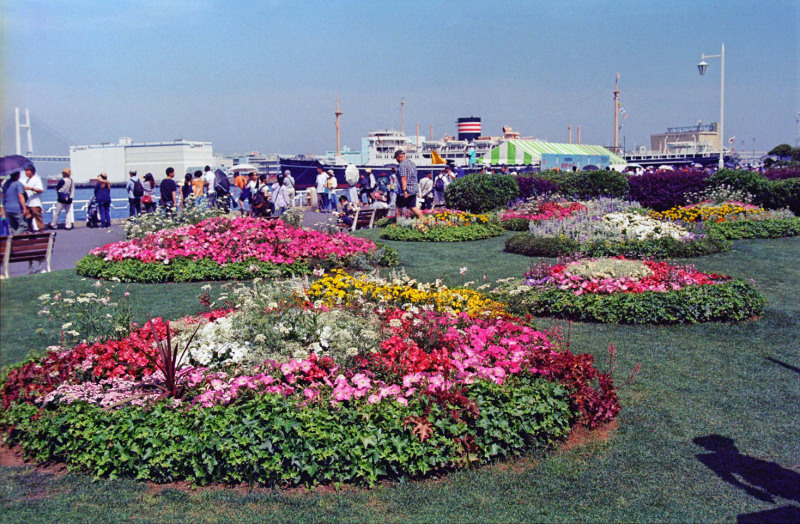 Yokohama Walk_d0085413_06551870.jpg