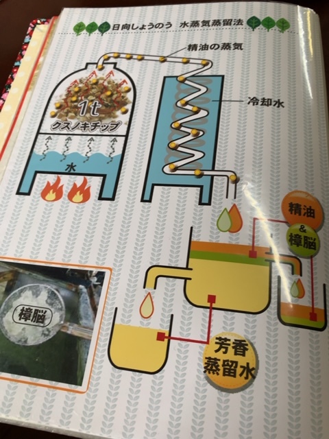 天然樟脳づくりの現場見学(宮崎、日向市へ)_c0125114_12135400.jpg