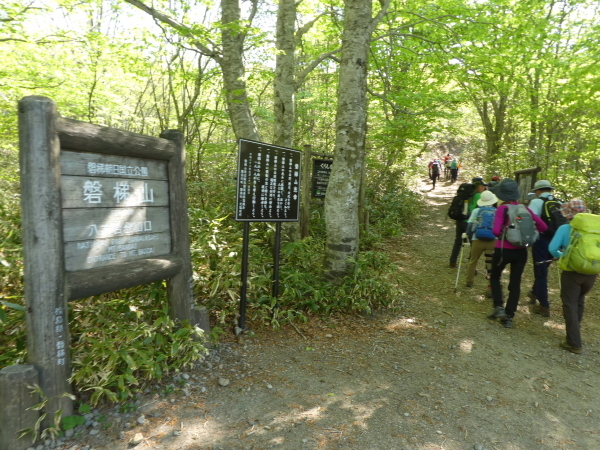 d0170615_21422155.jpg