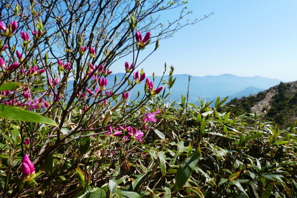 日本百名山　磐梯山 (1,816.2M) 　弘法清水小屋 編_d0170615_21424306.jpg