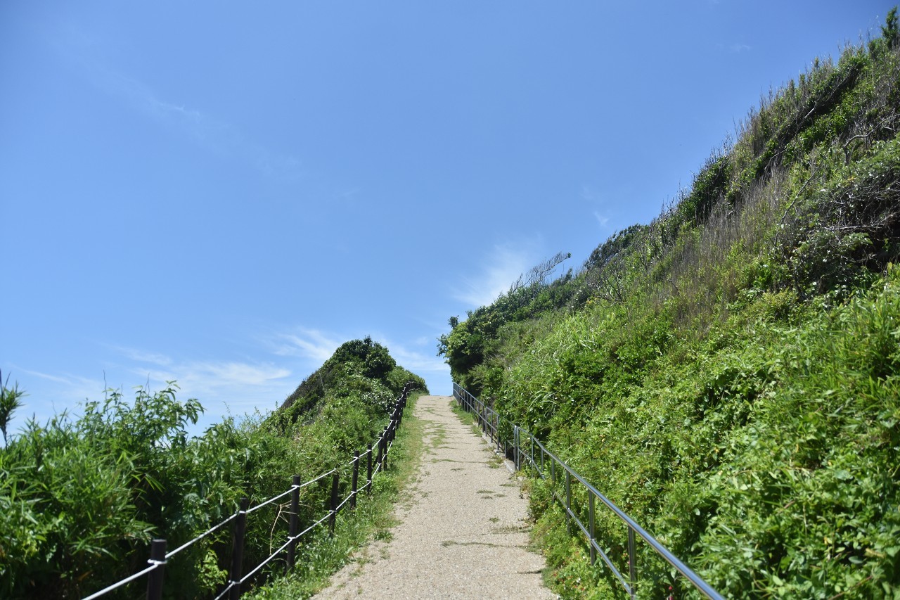 d0065116_20592097.jpg