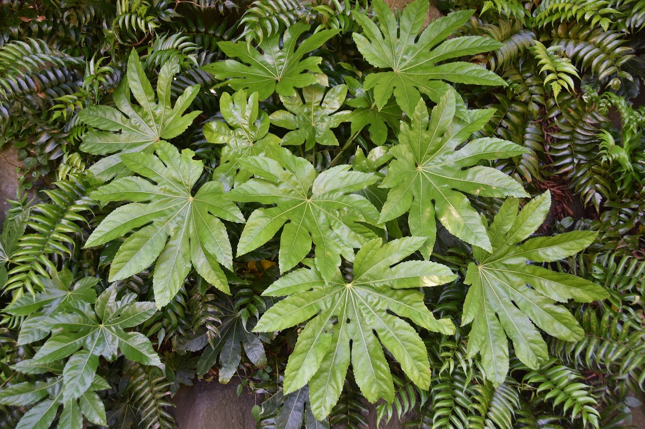 d0065116_21003567.jpg
