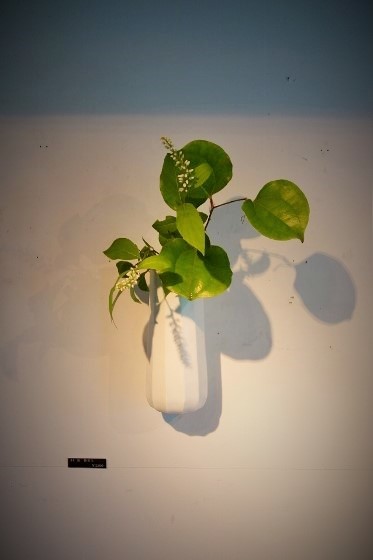 木村知子 作品展『器に咲く季節の花々…』開催中です_b0232919_19390716.jpg