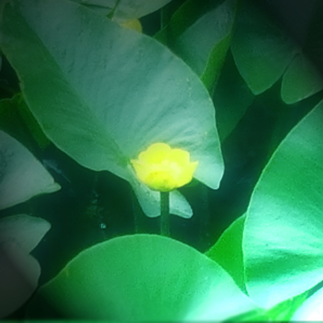 a0329820_14335392.jpg