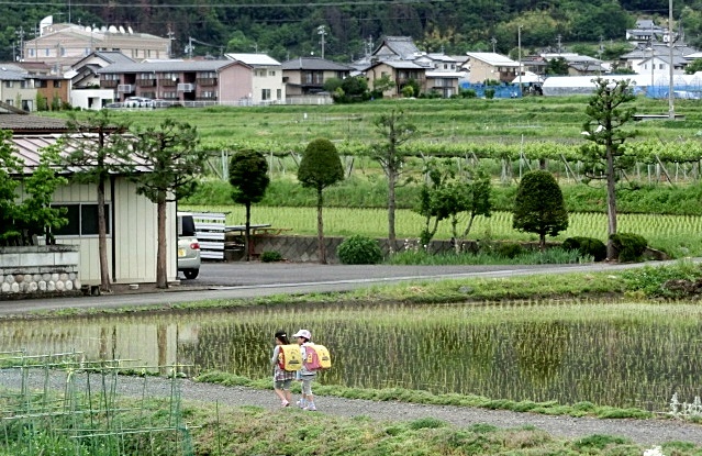 　　　　子どもは宝_e0234924_21274464.jpg