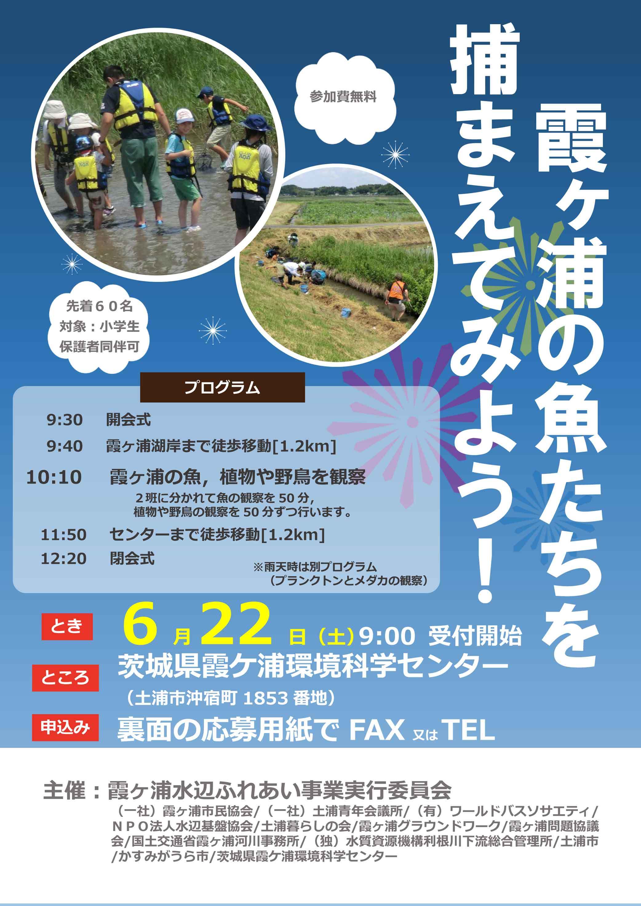 第1回水辺ふれあい事業 霞ヶ浦の魚たちを捕まえてみよう 参加者募集中 ぴゅあちゃんの部屋 第1回水辺ふれあい事業 霞ヶ浦の魚たちを捕まえてみよう 参加者募集中 ぴゅあちゃんの部屋