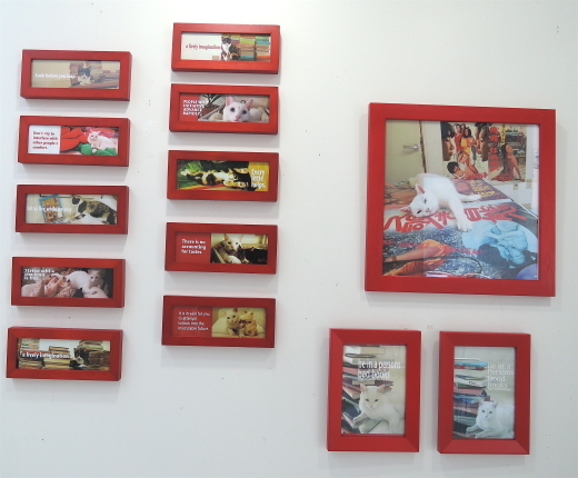 ギャラリー猫クーの写真展　5/18〜26_f0138928_08340757.jpg