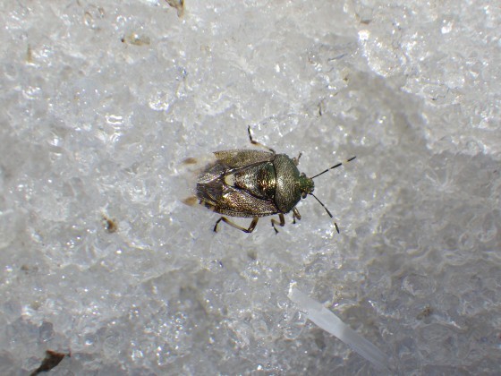 f0118332_21171825.jpg
