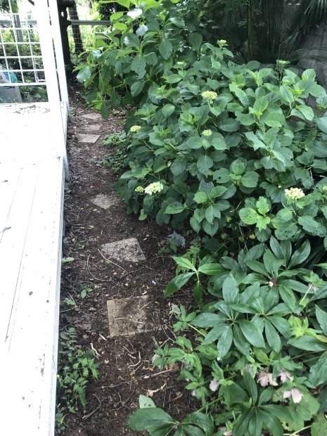 f0038336_07313681.jpeg
