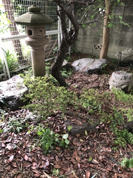 f0038336_07320526.jpeg