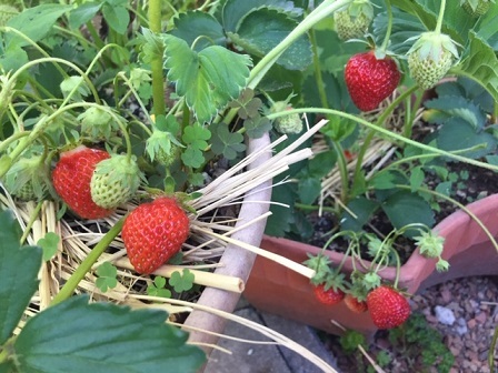 a0272241_14581348.jpeg