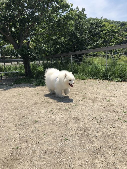 2019年5月 Ven!&Kitchenオフ その1_f0128542_00481651.jpg