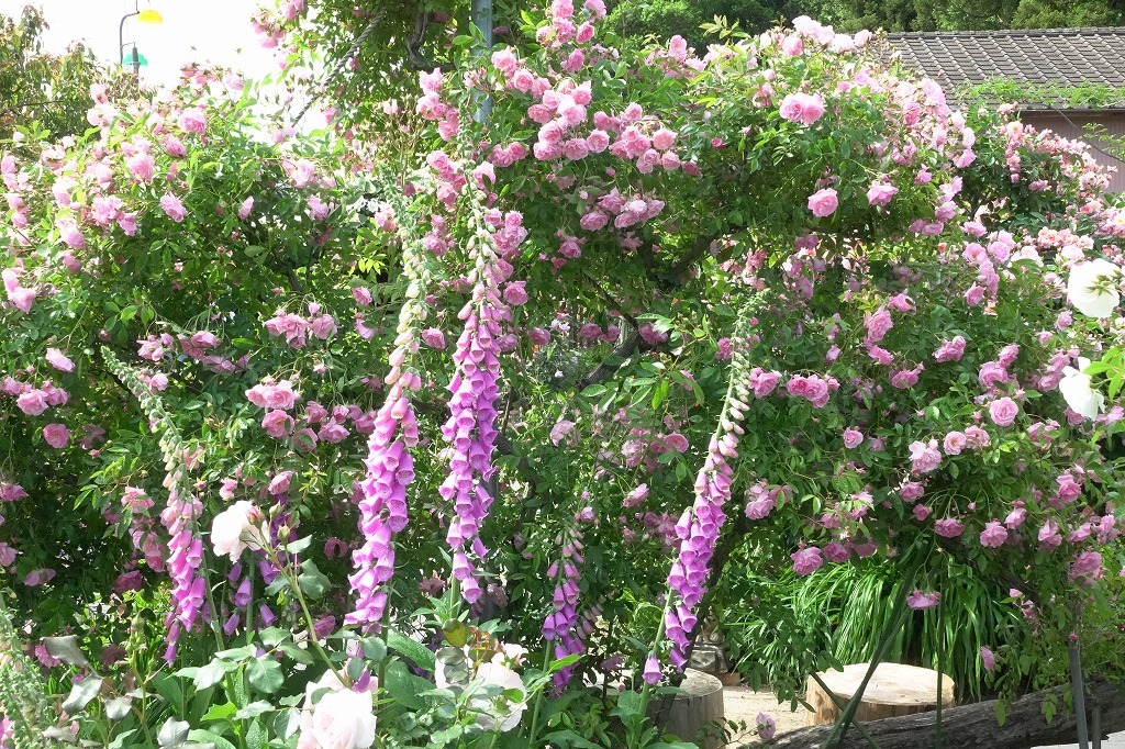 b0236251_08575781.jpg