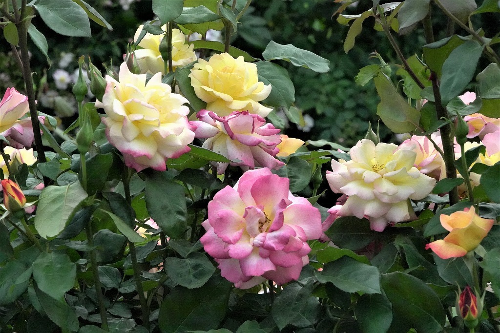 b0236251_08585920.jpg