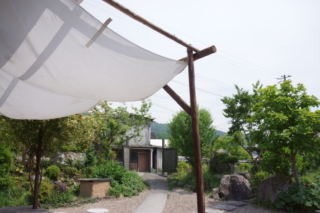 田舎が面白くなってきた♪_f0337851_23104451.jpeg