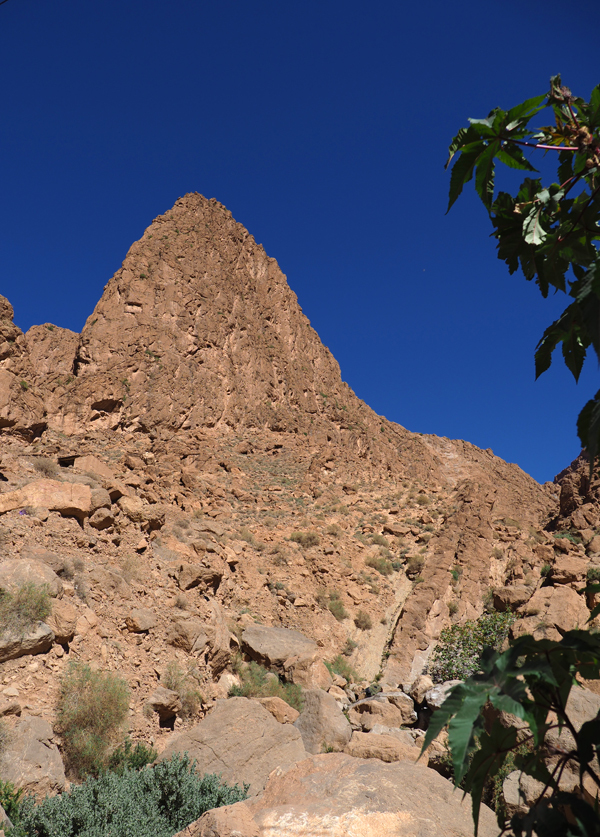 f0140054_14062416.jpg