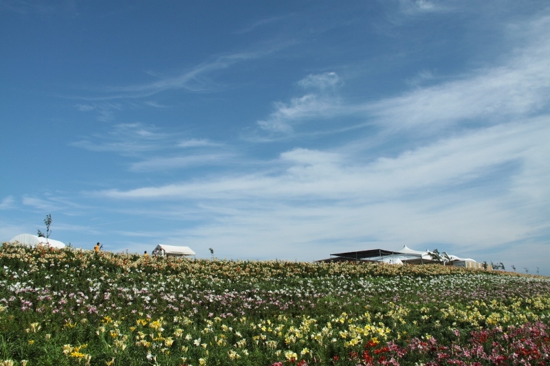 a0355356_11252200.jpg