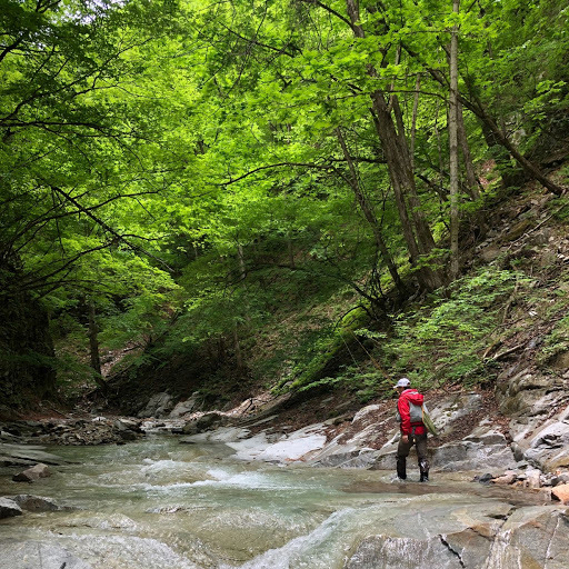 川の風景 川の風景
