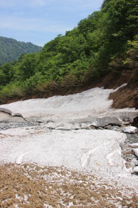 谷川岳 一ノ倉沢(2) (2019/5/27撮影)_b0369971_19463308.jpg