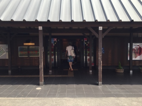 痛快エブリデイ２_c0195272_16254607.jpeg
