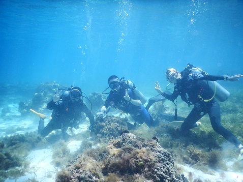 d0363174_22411729.jpg