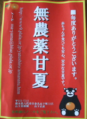 あまなつのピール candied Amanatu peel_b0188878_13022944.jpg