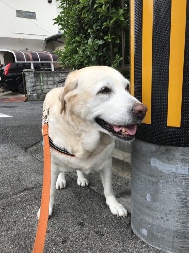 f0315081_22091377.jpeg